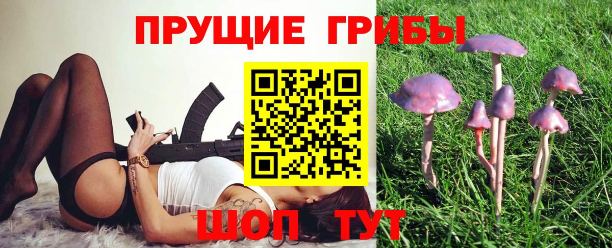 Псилоцибиновые грибы GOLDEN TEACHER  Псилоцибиновые грибы мицелий  Вход с VPN  Славянск-на-Кубани 