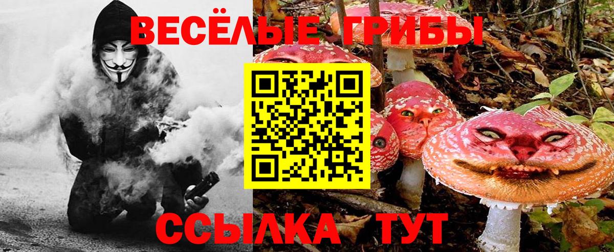 Псилоцибиновые грибы мицелий Славянск-на-Кубани